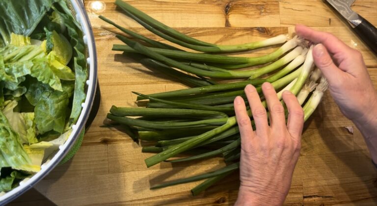 Edna Lewis Spring Green Salad Recipe